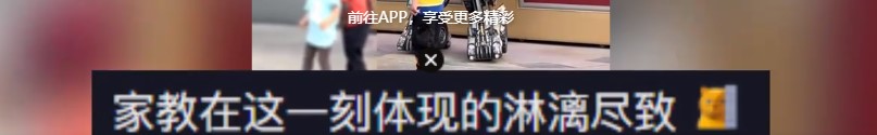 5.jpg 5.jpg